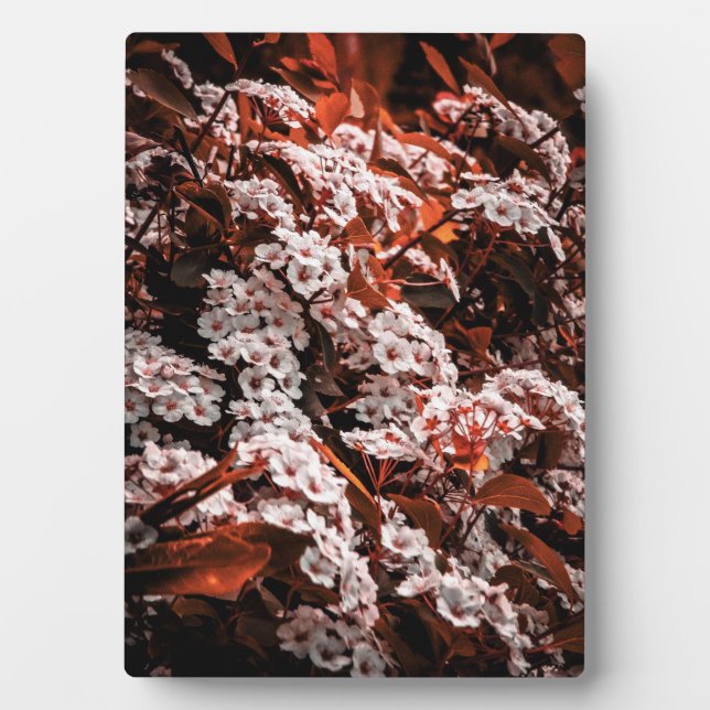 Tabletop Blume Fotoplatte (Vorderseite)