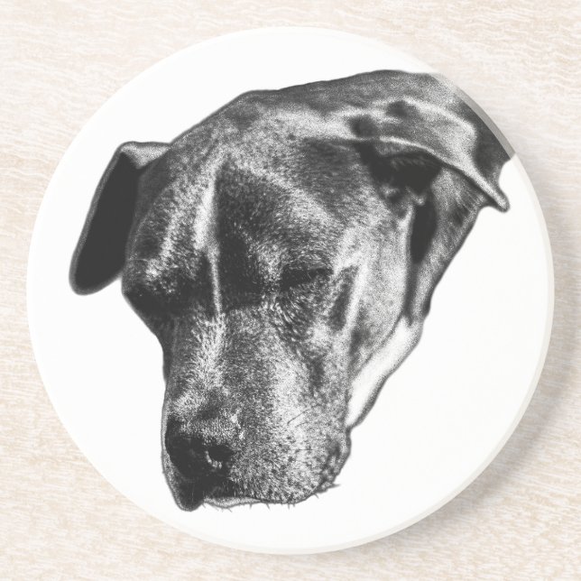 Tabletop Tranquil - Pitbull Mix Mini Getränkeuntersetzer (Vorne)