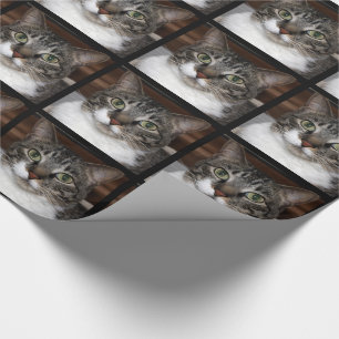 Tablette mit Katze Tierfotografie Geschenkpapier