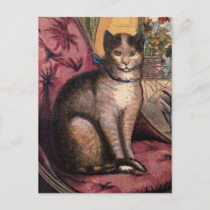 Tablettenkatze für Haustiere mit Collar Blue Ribbo Postkarte