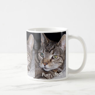 Tablettenkatze Kaffeetasse
