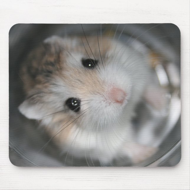 - Tac Mousemat oben schauen Mousepad (Vorne)