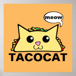 Taco Cat Poster