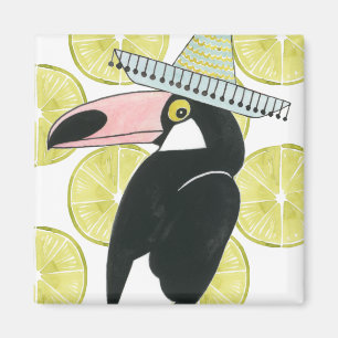 Taco über Liebe   Toucan Sombrero Magnet
