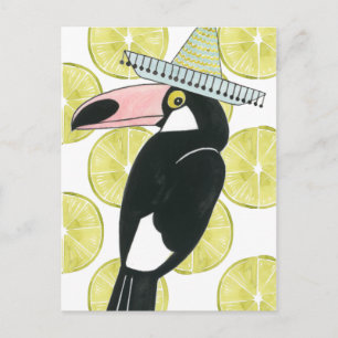 Taco über Liebe   Toucan Sombrero Postkarte