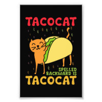 Tacocat Rückwärts geschrieben Tacos Katzen Cinco D