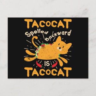 Tacocat Spelled Backwards Cinco de Mayo Cat Taco Postkarte