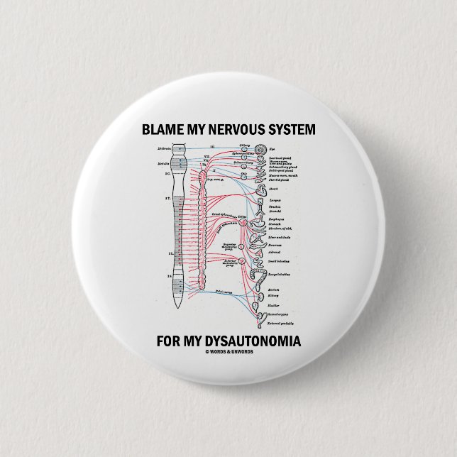 Tadeln Sie mein Nervensystem für mein Dysautonomia Button (Vorderseite)