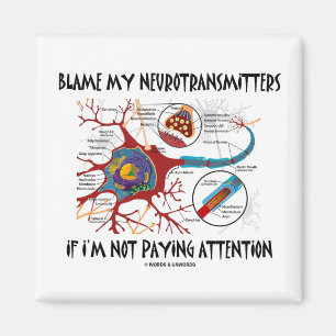 Tadeln Sie meine Neurotransmitter, wenn Sie nicht Magnet