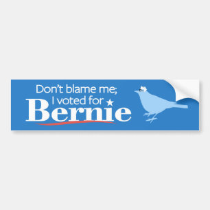 Tadeln Sie mich nicht; Ich wählte für Bernie Autoaufkleber