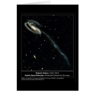 Tadpole-Galaxie Hubble Teleskop-Foto