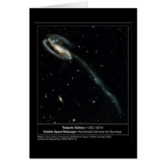 Tadpole-Galaxie Hubble Teleskop-Foto