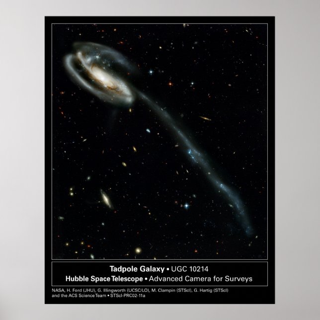 Tadpole Galaxy Hubble Telescope Foto Poster (Vorne)