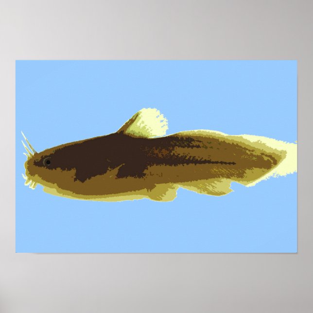 Tadpole Madtom Catfish Poster (Vorne)