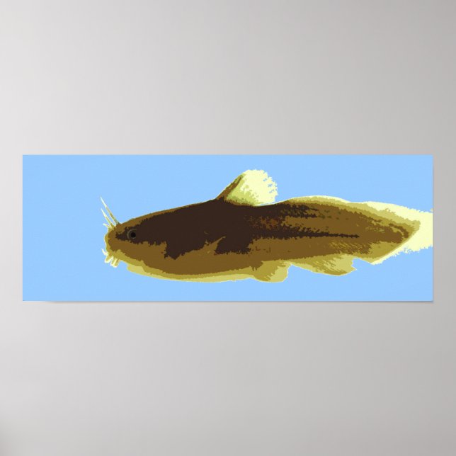 Tadpole Madtom Catfish Poster (Vorne)