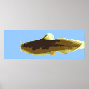 Tadpole Madtom-Wels Poster