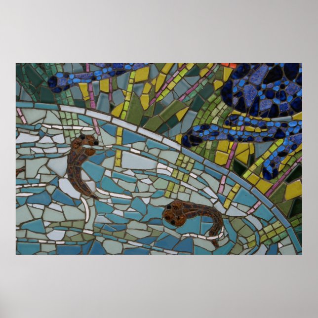 Tadpole Mosaic, 2010 Foto von Derrick W. Black Poster (Vorne)