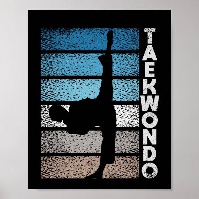 Tae Kwon Do fighter Taekwondo Korean fight Poster (Vorne)