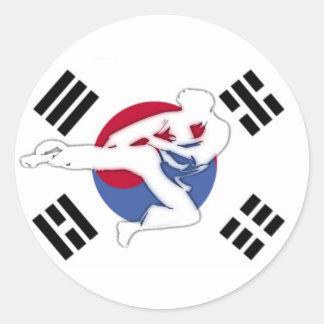 Tae Kwon Do Flyer Stickers