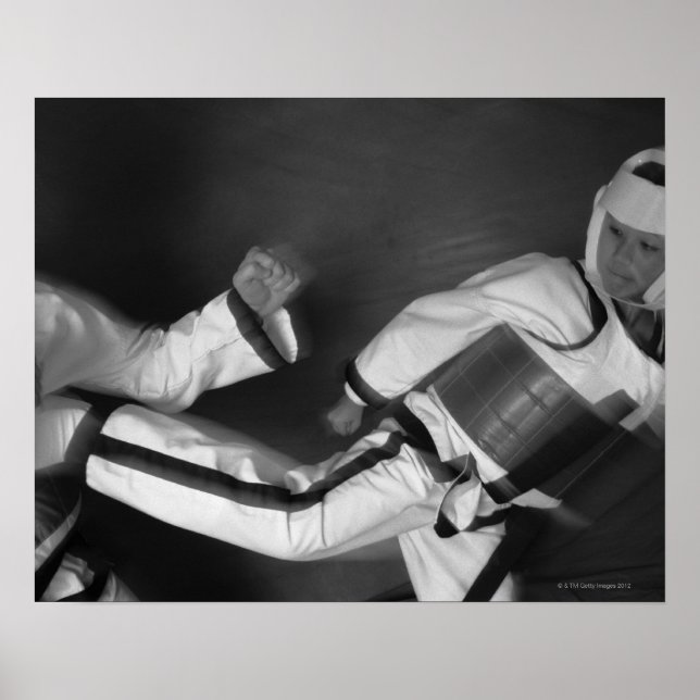 Tae Kwon Do Match Poster (Vorne)