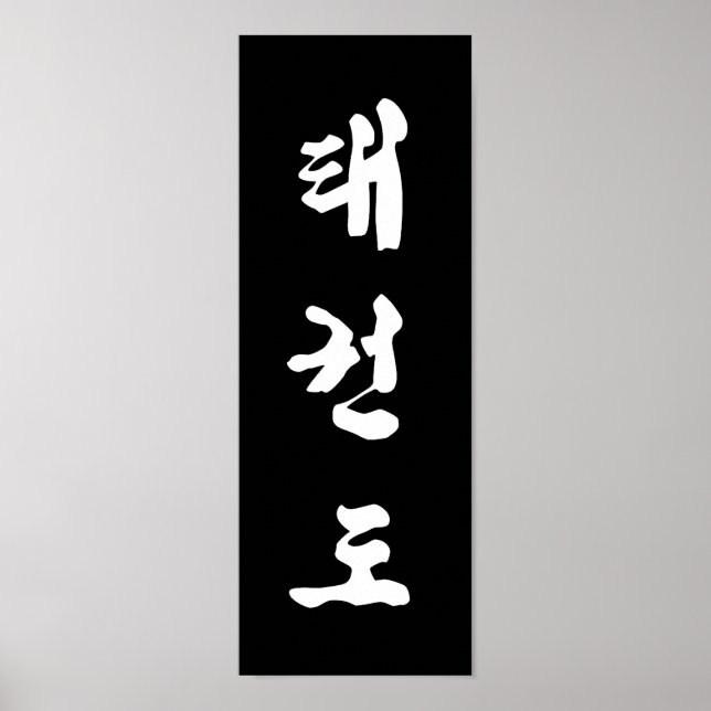 Tae Kwon Do Print Poster (Vorne)