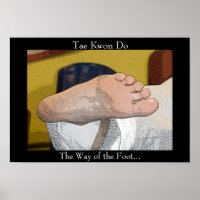 Tae Kwon Do The Way of the Foot