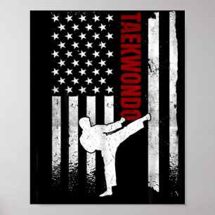 Taekwondo Amerikanische Flagge Distressed Usa Patr Poster