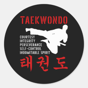 Taekwondo-Grundsätze Flugkick Koreanische Kampfkun Runder Aufkleber