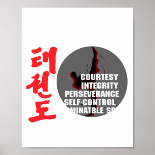 Taekwondo-Grundsätze Martial Arts Tae Kwon Do T-Sh Poster