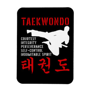 Taekwondo Magnet