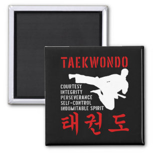 Taekwondo Magnet