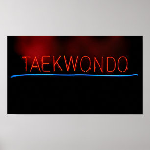 Taekwondo Poster