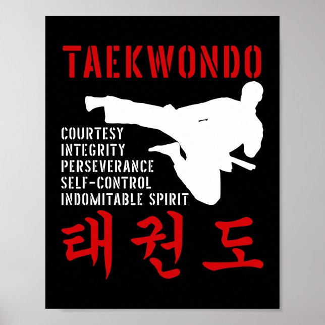 Taekwondo Poster (Vorne)