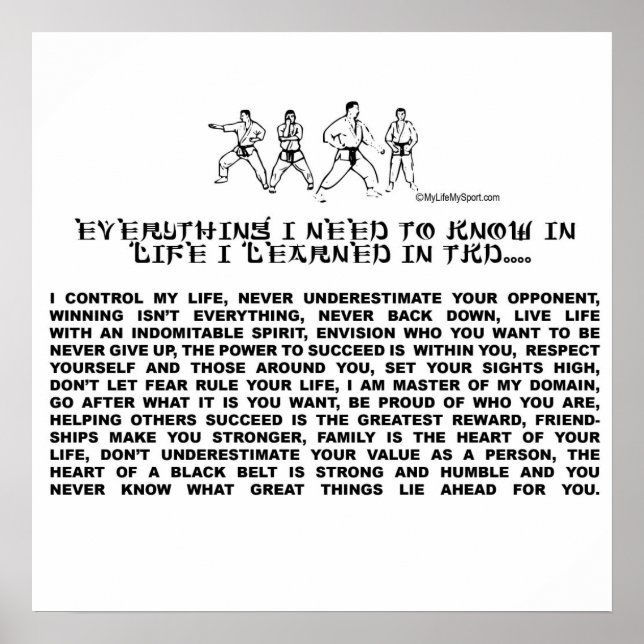 TAEKWONDO POSTER (Vorne)