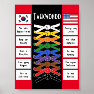 Taekwondo-Poster Poster