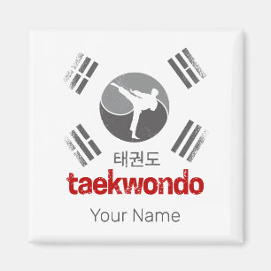 Taekwondo Retro Korea Flag Martial Arts Vintag Magnet
