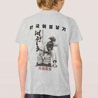 Taekwondo sprengt Grenzen Koreanische Kampfkunst V Tri-Blend Shirt