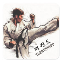 Taekwondo Stickers