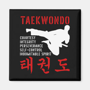 Taekwondo Tenets Martial Arts Magnet