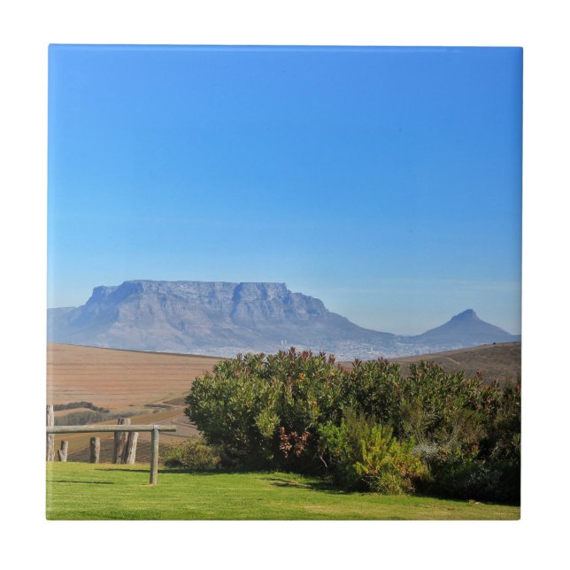 Tafelberg Blick Gras in Kapstadt Fliese (Vorderseite)