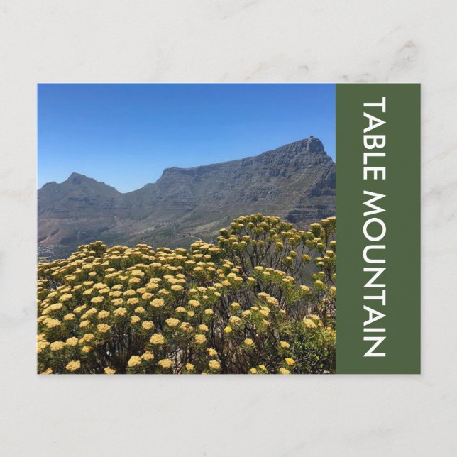 Tafelberg Postkarte (Vorderseite)