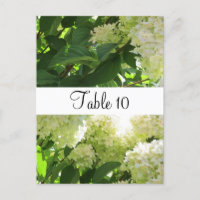 Tafelsitze für Hydrangeas