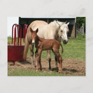 Tag 1 - Mutter und Sohn Postkarte