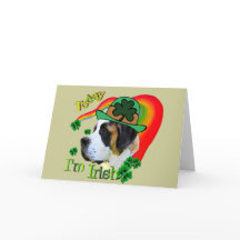 Tag Bernhardiner-St. Patricks