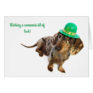Tag Dackel-St. Pattys