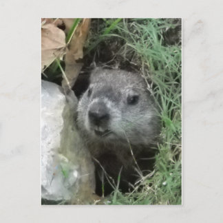 Tag der Bodenschätze Postkarte