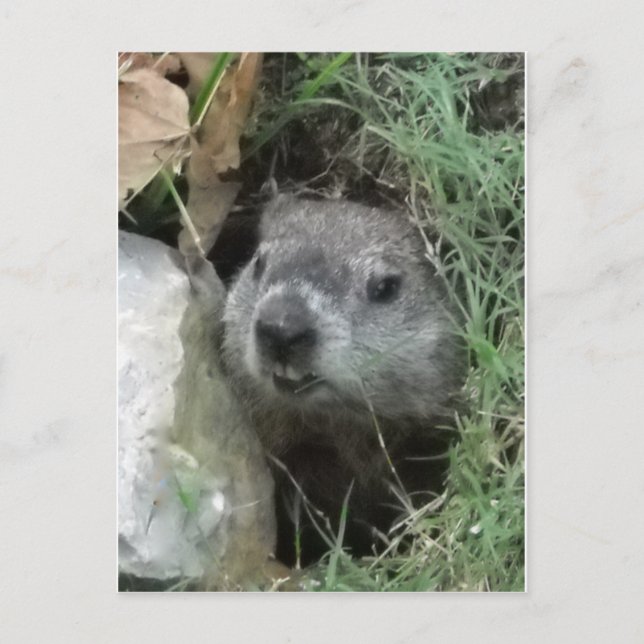 Tag der Bodenschätze Postkarte (Vorderseite)