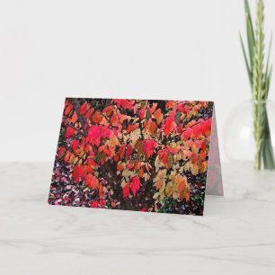 Tag der Bush-Mütter Karte