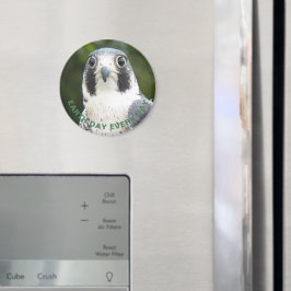 Tag der Erde Jeden Tag Peregrine Falken Foto Magnet