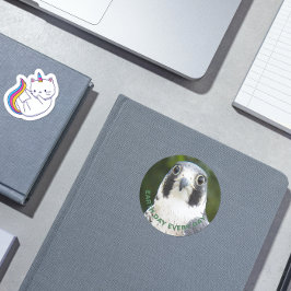 Tag der Erde Jeden Tag Peregrine Falken Foto Runder Aufkleber